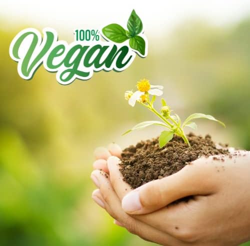 Mistični trenuci | Peppermint Premium eterično ulje 1kg - čisto i prirodno ulje za difuzore, aromaterapiju i masažne mješavine Vegan GMO Besplatno