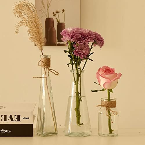 Paisener Bud vaze set od 12, više oblika malih staklenih vaza, cvjetnih vaza za dekor i vjenčane