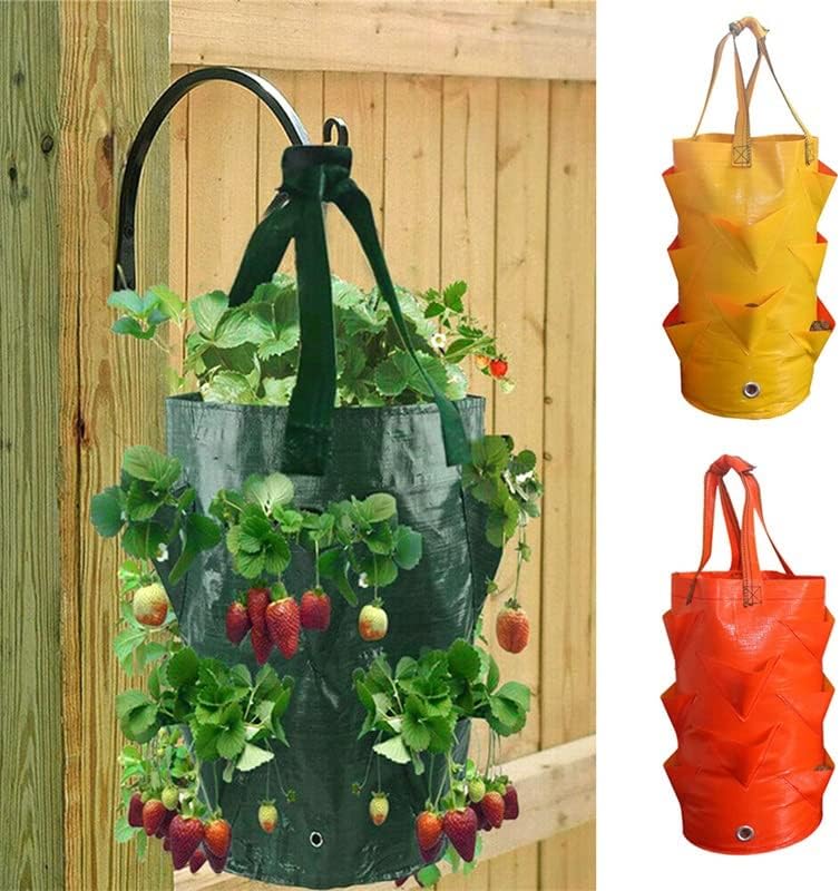 SDGH posuda za sadnju, viseća saksija za cvijeće na zidu od povrća, baštenski pribor i alat zidna viseća dekoracija
